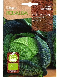Llavor aromàtica Cilantre