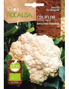 Semilla coliflor Napoletano Gennarese (ecológica)