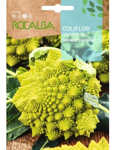 Llavor Coliflor Romanesco natalino