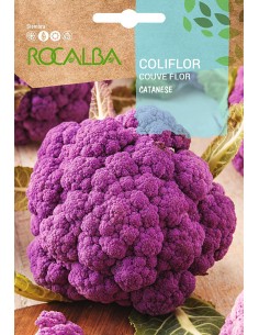 Llavor Coliflor Catanese
