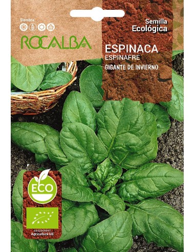 Semilla spinaca Gigante de Invierno (ecológica)