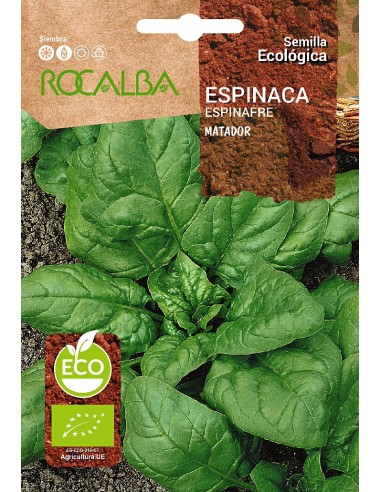Semilla espinaca Matador (ecológica)