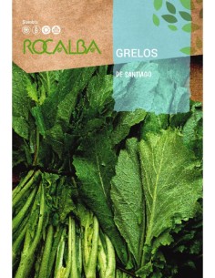 Llavor aromàtica Cilantre