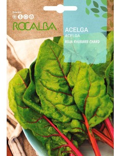 Semilla Acelga roja Rhubarb Chard