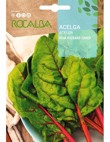 Semente de acelga vermelha Rhubarb Chard