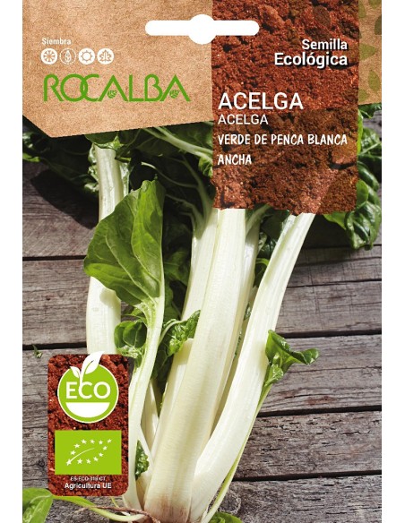 Llavor aromàtica Cilantre
