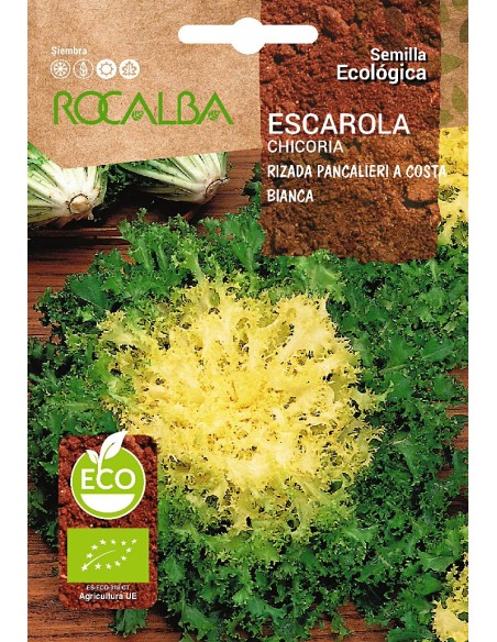 Semilla Escarola (ecológica)