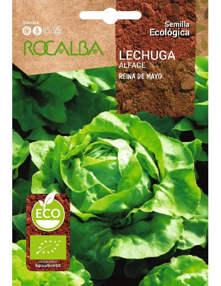 Llavor enciam Reina de Maig (ecològica)