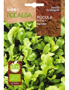 Llavor Rúcula (ecològica)