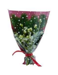 Bouquet de gui porte-bonheur