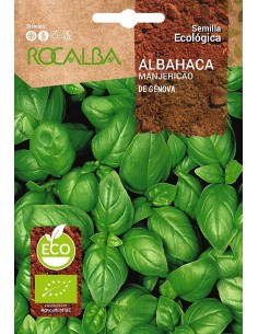 Semilla ecológica Albahaca Genovesa
