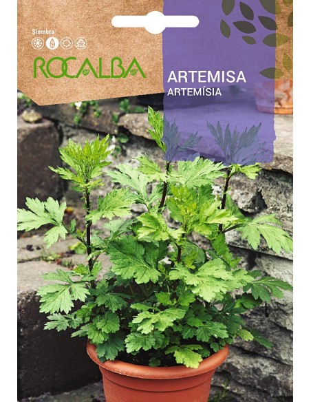 Llavor artemisa