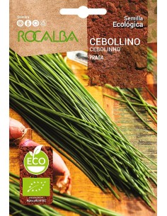 Llavor Cibulet (ecològica)