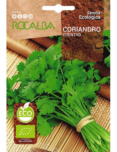 Llavor aromàtica Cilantre