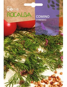 Semilla de comino