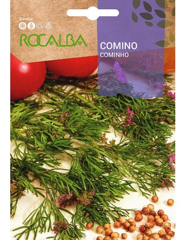 Graines de cumin