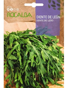 Semente de dente de leão
