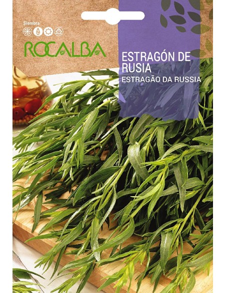 Semente de estragão em Germigarden