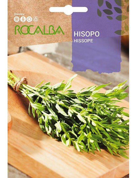 Semente de Hissopo