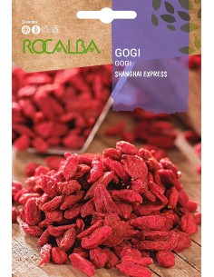 Semilla Gogi