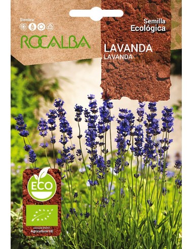 Semilla Lavanda (ecológica)