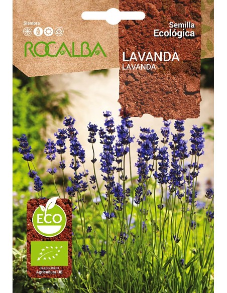 Semente de lavanda (orgânica)