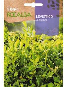 Llavor aromàtica Cilantre