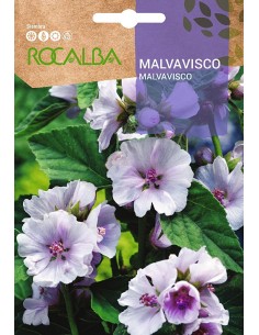 Semilla Malvavisco