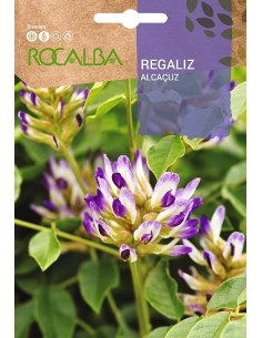 Llavor Regalèssia