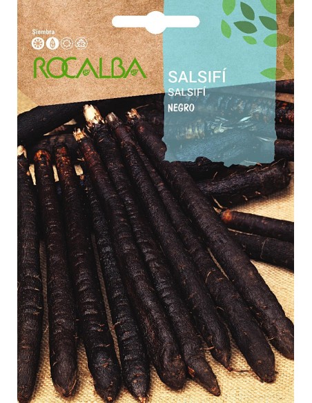 Semilla Salsifí