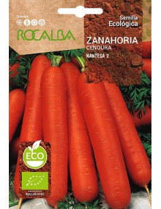 Llavor aromàtica Cilantre