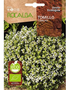 Llavor aromàtica Cilantre
