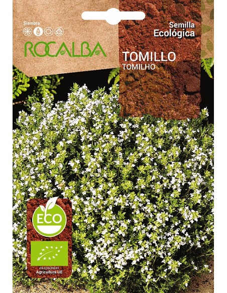 Llavor aromàtica Cilantre