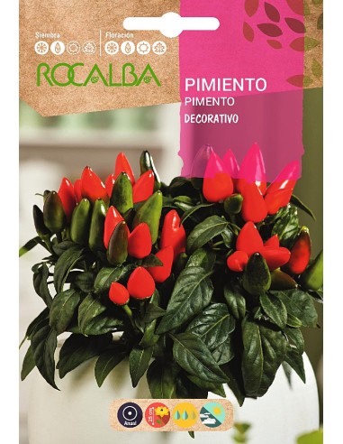 Semente de pimenta decorativa
