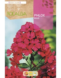 Bulb de Phlox