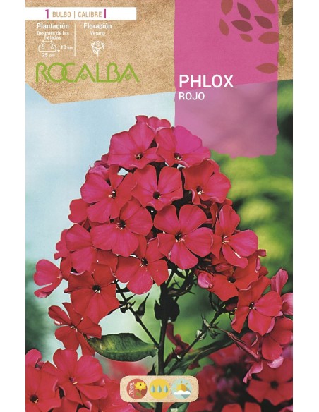 Bulbo de Phlox