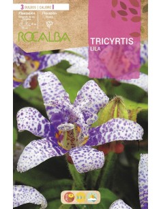 Bulbo de Tricyrtis (3 unidades)