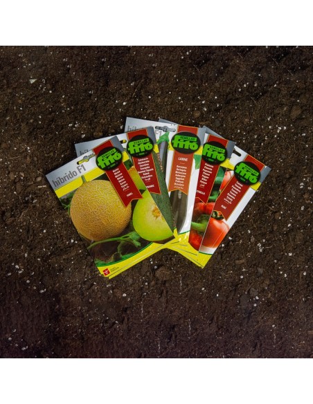Pack de llavor híbrida d'estiu 5