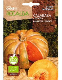 Llavor aromàtica Cilantre
