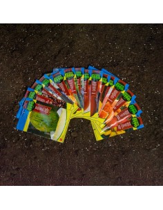 Pack de semillas hortícolas basicas 15