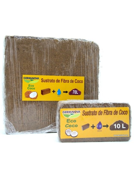 Pilule de Noix de Coco Kokofina.