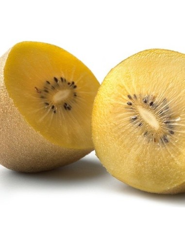 Kiwi autofértil Golden Kiwi (maceta 15 cm Ø)