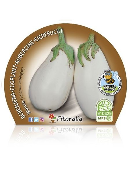 Alberginia blanca (test 10,5 cm Ø)