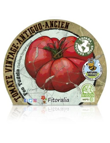 Tomate feo Tudela (maceta 10,5 cm Ø)