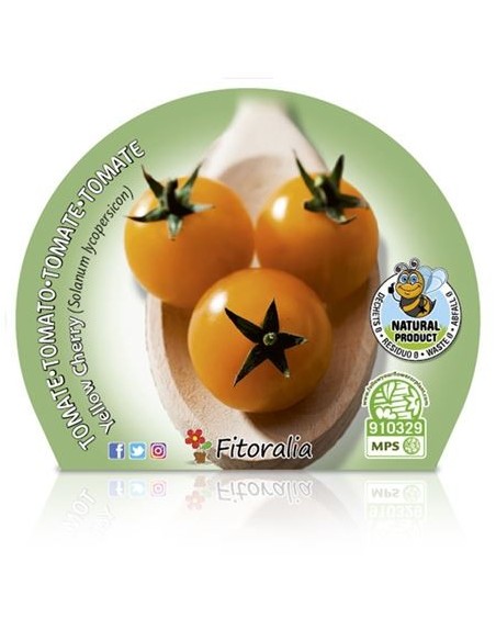 Tomate cherry amarelo (vaso de 10,5 cm Ø)