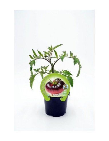 Abono Catus fertiberia
