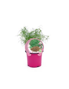 Abono Catus fertiberia