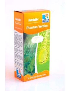 Comprimés d'Engrais pour Plantes Vertes Nutritablet (12 comprimés).