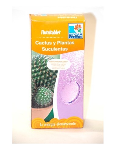 Engrais en comprimés Nutritablet pour cactus et plantes grasses (12 comprimés)