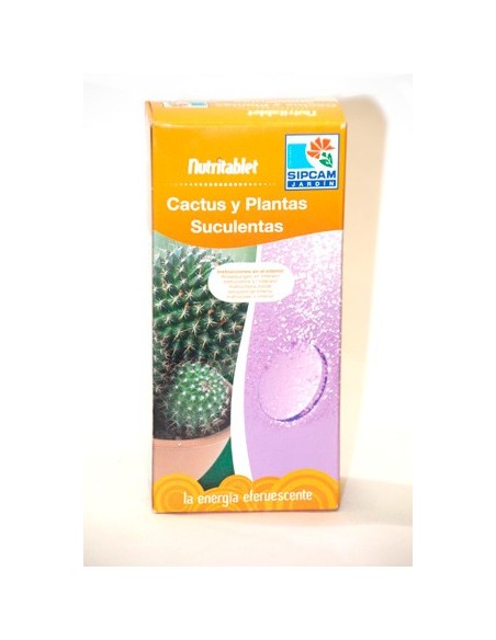 Engrais en comprimés Nutritablet pour cactus et plantes grasses (12 comprimés)